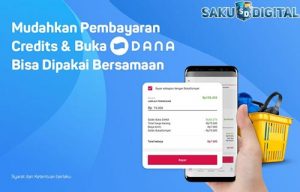 Apa Itu Dana ? Fungsi, Keuntungan, Kelebihan dan Kekurangan