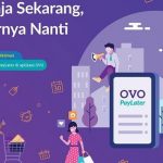 11 Cara Mengaktifkan OVO Paylater Terbaru 2026