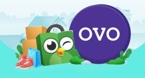 11 Cara Bayar Tokopedia Pakai OVO Point Terbaru 2026