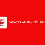 15 Cara Pinjam Uang di LinkAja : Syarat & Ketentuan Pengajuan