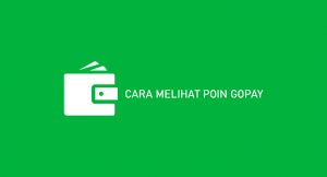 9 Cara Melihat PIN Gopay 2026 : Syarat & Ketentuan