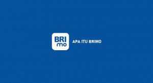 √ Apa Itu Brimo : Fitur, Fungsi, Aktivasi & Keuntungan