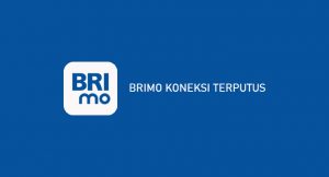√ BRImo Koneksi Terputus? Ini Penyebab & Cara Mengatasi