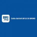 9 Cara Bayar BPJS di BRImo 2026 : Syarat & Keuntungan