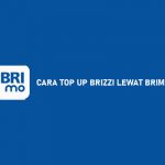 15 Cara Top Up Brizzi Lewat BRImo : Biaya, Keuntungan & Cek Saldo