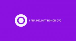 4 Cara Melihat Nomor OVO 2026 : Syarat & Ketentuan