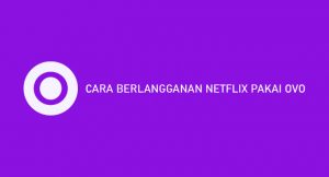 11 Cara Berlangganan Netflix Pakai OVO 2026 : Syarat & Biaya