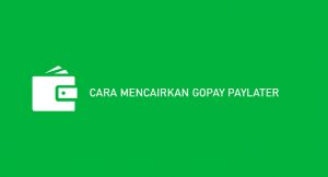 8 Cara Mencairkan Gopay Paylater 2026 : Syarat & Biaya