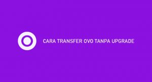 18 Cara Transfer OVO Tanpa Upgrade 2026 : Syarat & Biaya