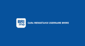 4 Cara Mengetahui Username BRImo Paling Mudah