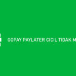 Gopay Paylater Cicil Tidak Muncul ? Begini Cara Mengatasinya