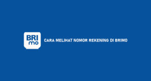 12 Cara Melihat Nomor Rekening di BRImo Paling Mudah & Cepat