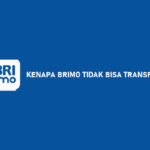 Kenapa BRImo Tidak Bisa Transfer : Penyebab & Cara Mengatasi