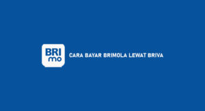 12 Cara Bayar Brimola Lewat BRIVA : Syarat & Ketentuan