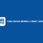 13 Cara Bayar Brimola Lewat LinkAja : Syarat & Ketentuan