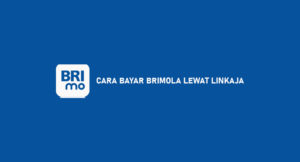 13 Cara Bayar Brimola Lewat LinkAja : Syarat & Ketentuan