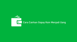 2 Cara Cairkan Gopay Koin Menjadi Uang ke Rekening 2026