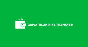 Gopay Tidak Bisa Transfer? Ini Penyebab & Cara Mengatasinya