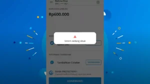 DANA Sistem Sedang Sibuk, Penyebab dan Cara Mengatasi Gangguan Hari Ini